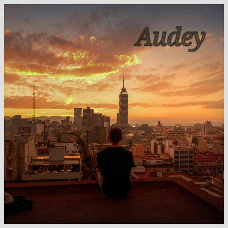 Audey's avatar image