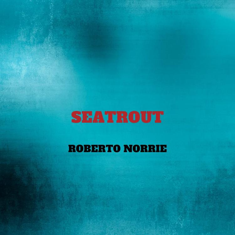 Roberto Norrie's avatar image