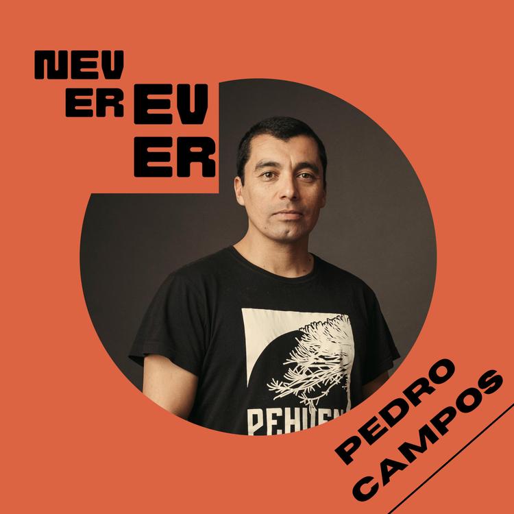 Pedro Campos's avatar image