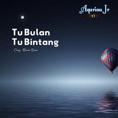 Tu Bulan Tu Bintang's cover