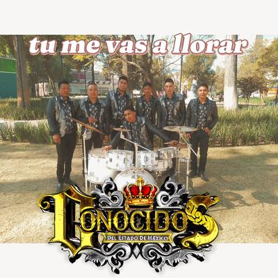 Tu me vas a llorar's cover