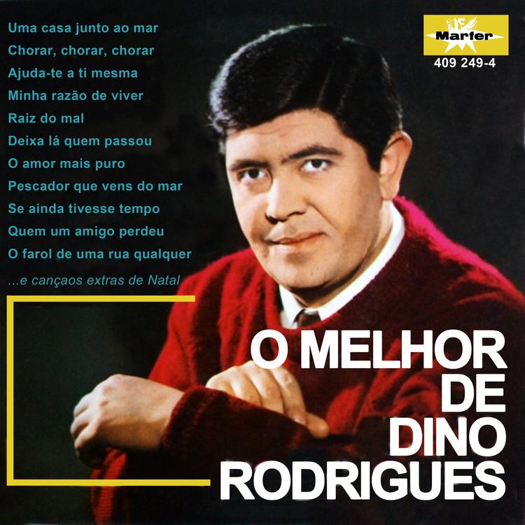 Dino Rodrigues's avatar image
