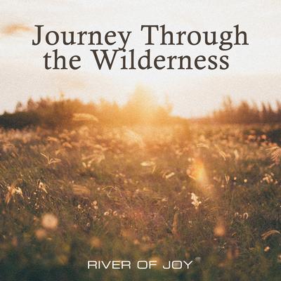 Journey Through the Wilderness ( Instrumental )'s cover