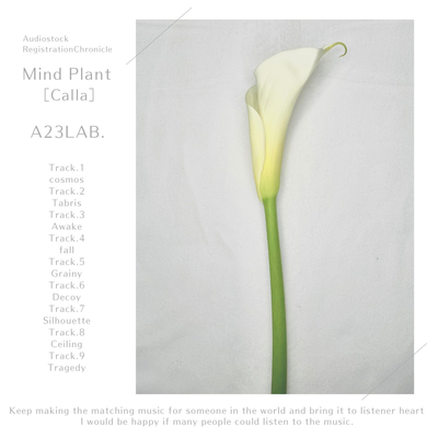 A23LAB.'s cover