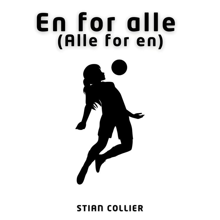 Stian Collier's avatar image