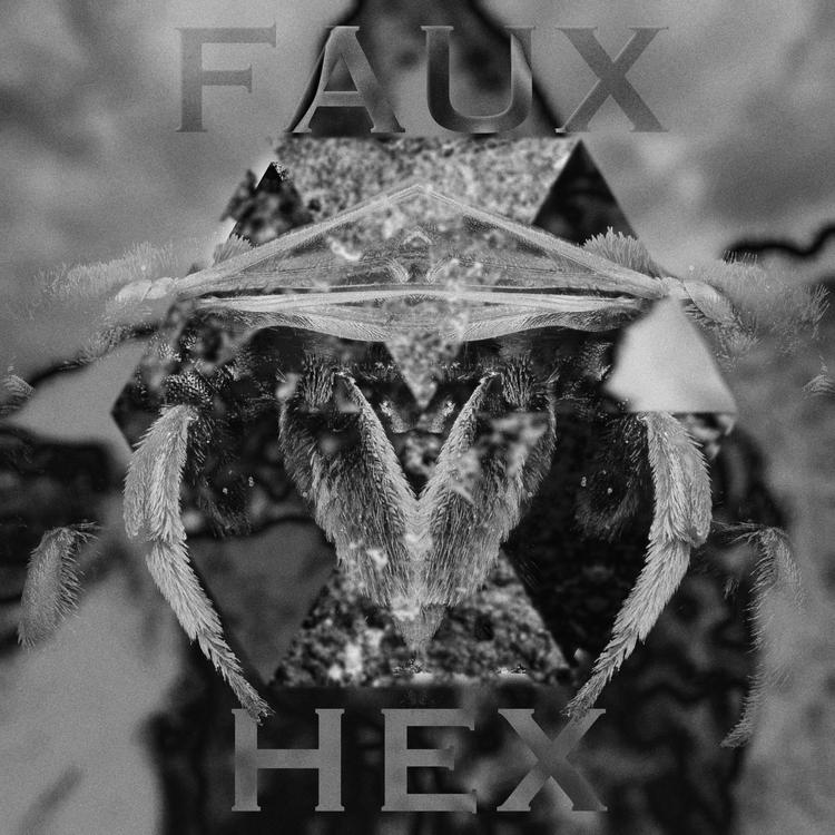 Faux Hex's avatar image