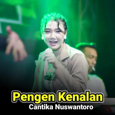 Pengen Kenalan (Live)'s cover