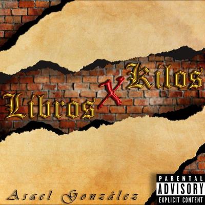 Libros x Kilos's cover