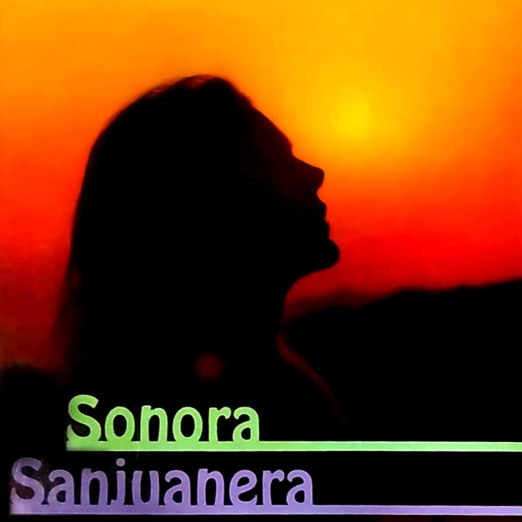 Sonora Sanjuanera's avatar image