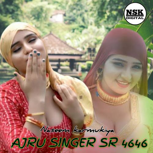 Aslam Billi Ki Story Official TikTok Music album by NSK MEWATI