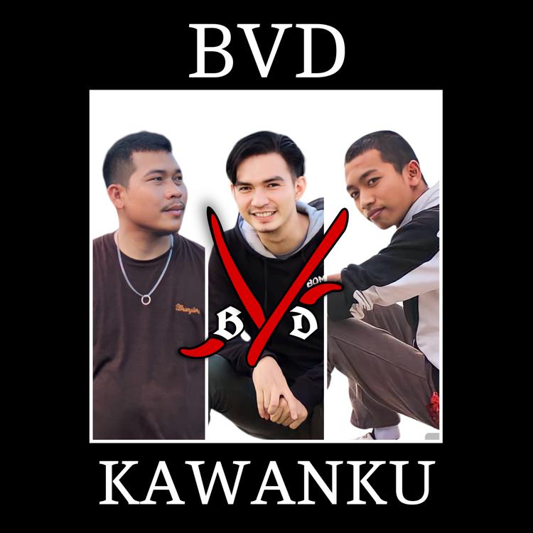 BVD's avatar image