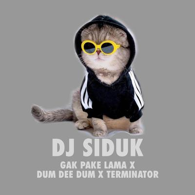 DJ GAK PAKE LAMA X DUM DEE DUM X TERMINATOR's cover