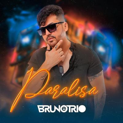 Paralisa's cover