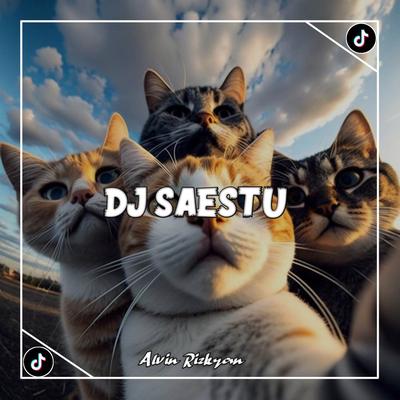 SAESTU (Remix)'s cover