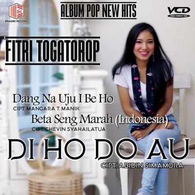 Album Di Ho Do Au's cover