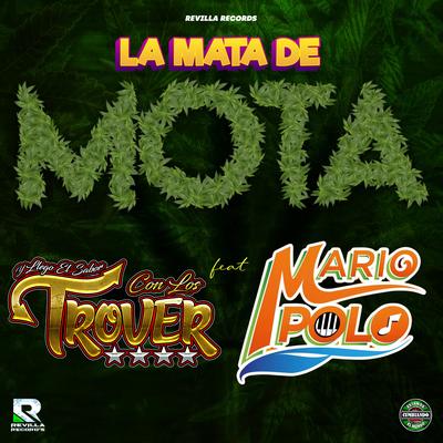 La Mata de Mota's cover