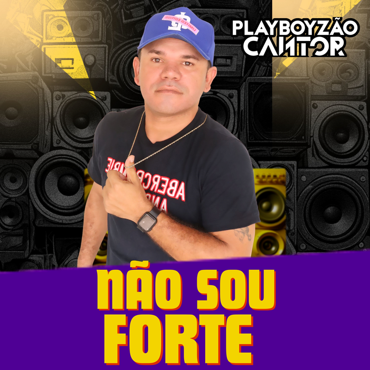 Playboyzão Cantor's avatar image