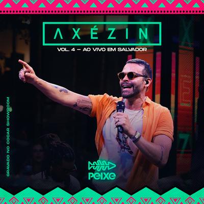 Axézin, Vol. 4 (Ao Vivo em Salvador)'s cover