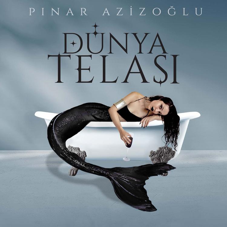 Pınar Azizoğlu's avatar image