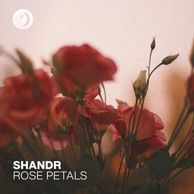 Rose Petals By shandr's cover