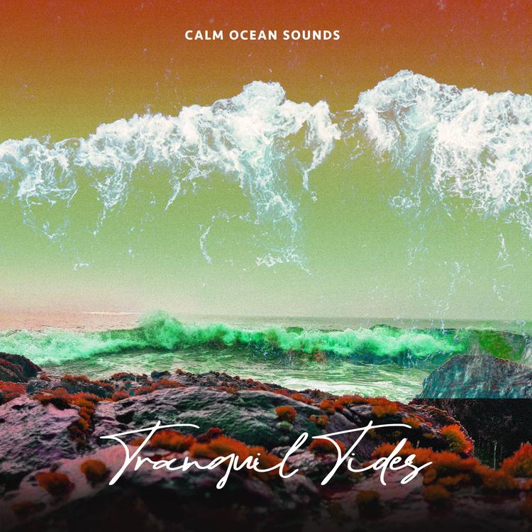 Calm Ocean Sounds's avatar image