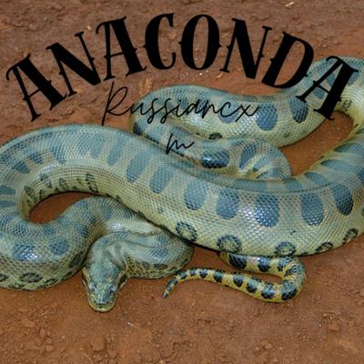 Anaconda2's cover