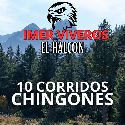 10 Corridos Chingones's cover