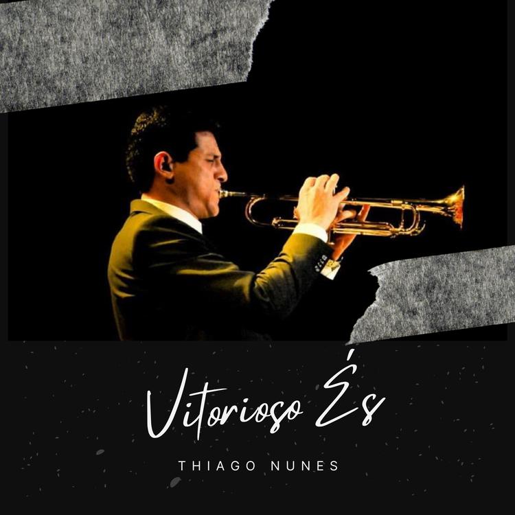 THIAGO NUNES QUEIROZ's avatar image