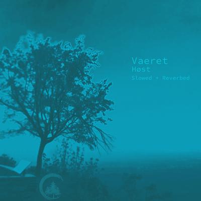 Høst By Vaeret's cover