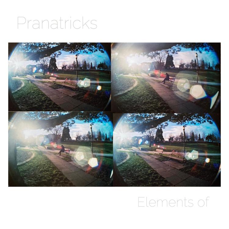 Pranatricks's avatar image