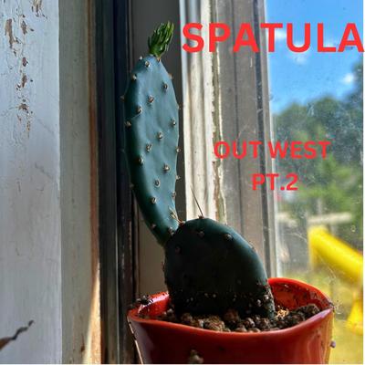 Spatula's cover