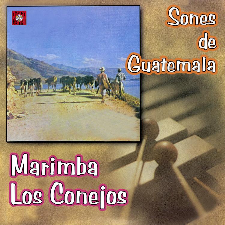 Marimba Los Conejos's avatar image