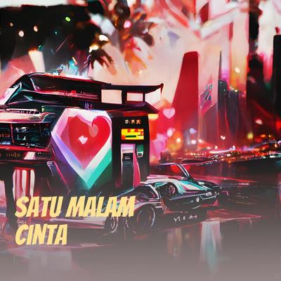 Satu Malam Cinta's cover