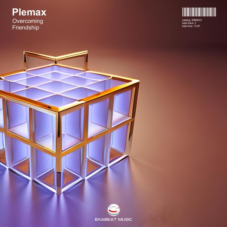 Plemax's avatar image