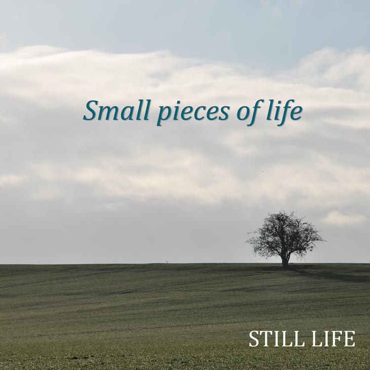 Small pieces of life's avatar image