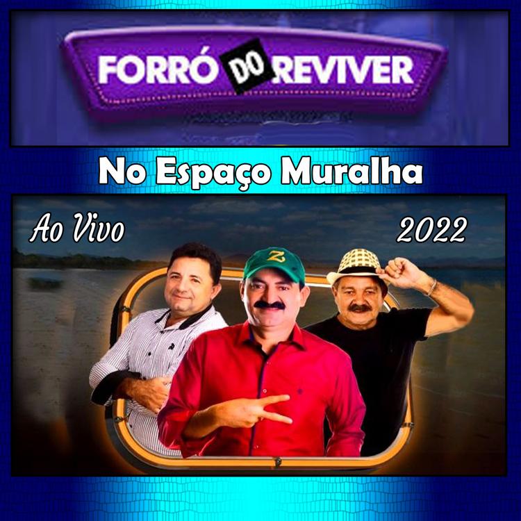 Forró do Reviver's avatar image