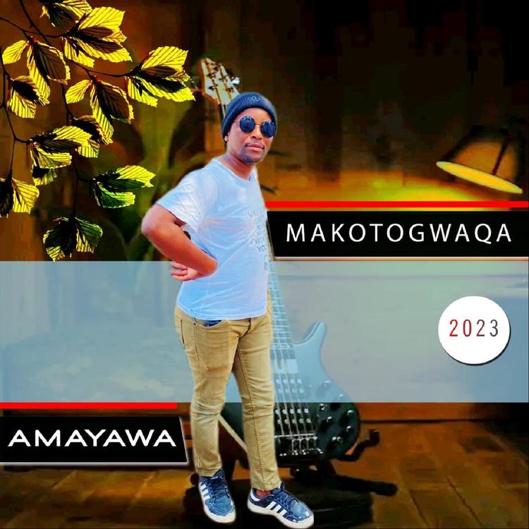 Makotogwaqa's avatar image