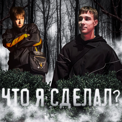 Что я сделал ?'s cover