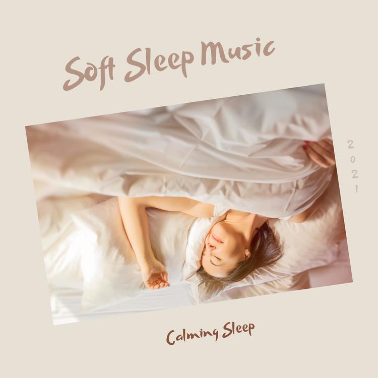 Soft Sleep Music's avatar image