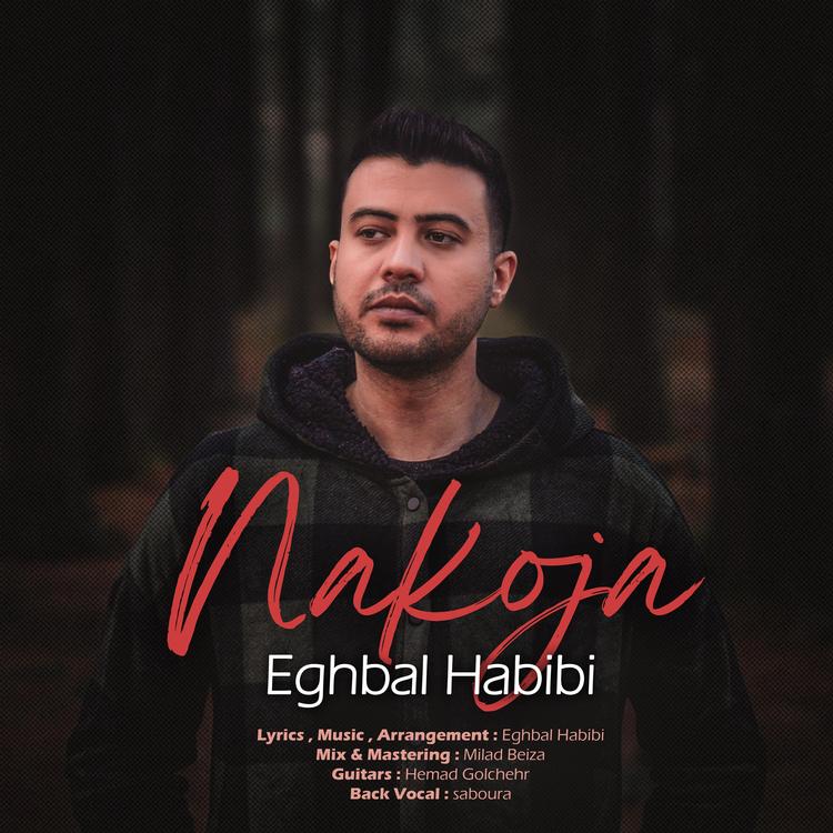 Eghbal Habibi's avatar image