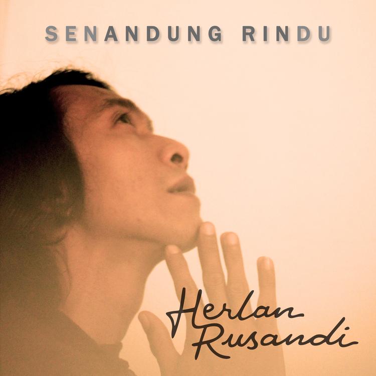 Herlan Rusandi's avatar image