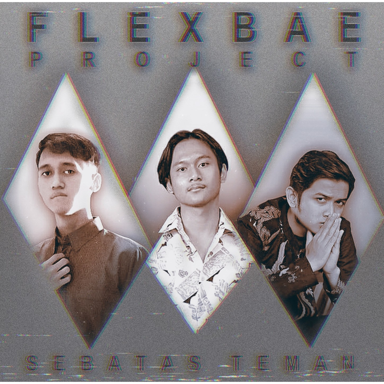 Flexbae Project's avatar image