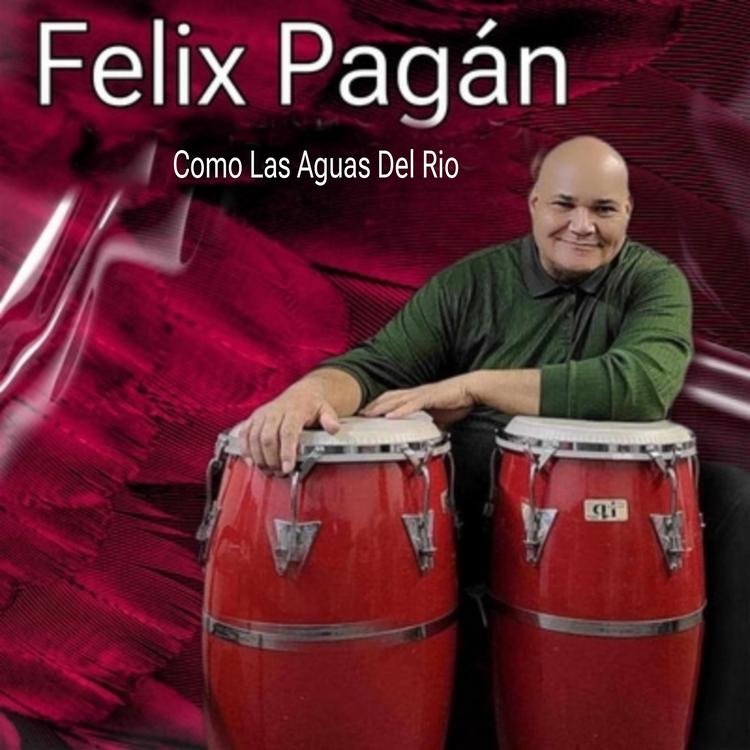 Felix Pagan's avatar image