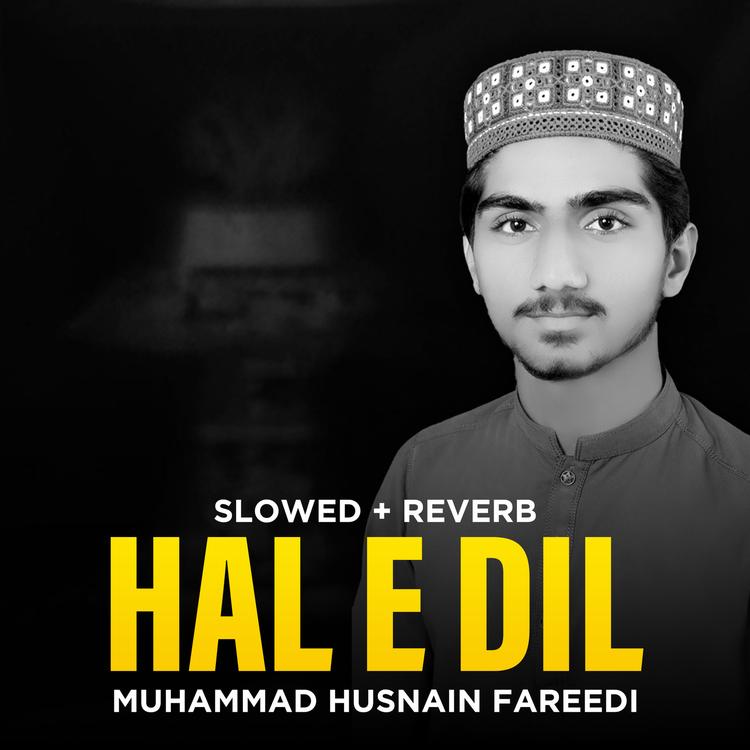 Muhammad Husnain Fareedi's avatar image