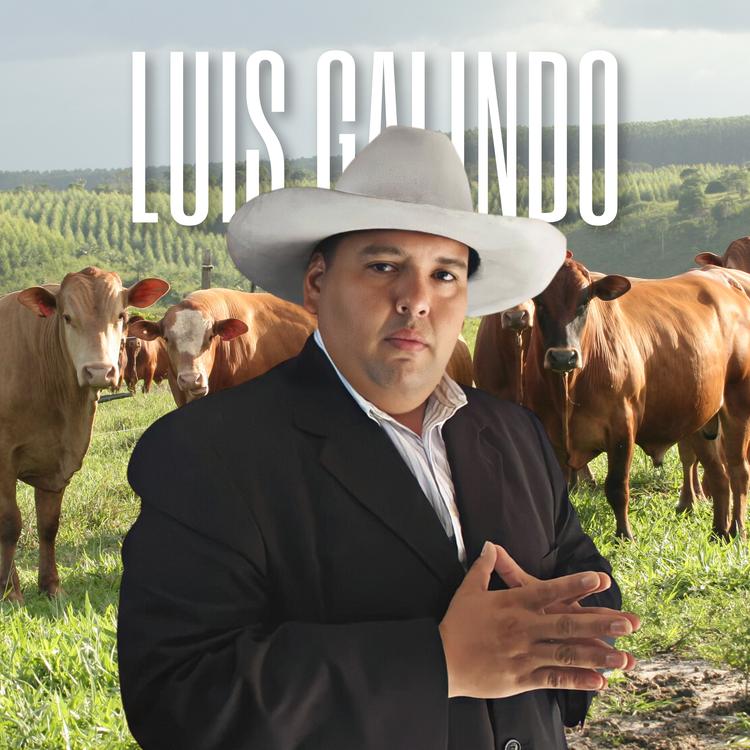 Luis Galindo's avatar image