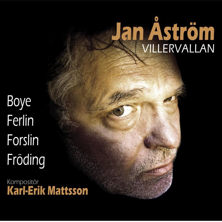 Janne Åström's avatar image