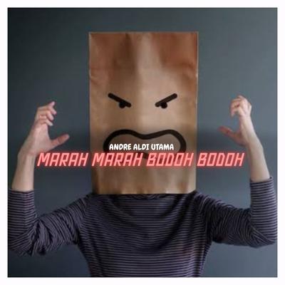 Marah Marah Bodoh Bodoh's cover