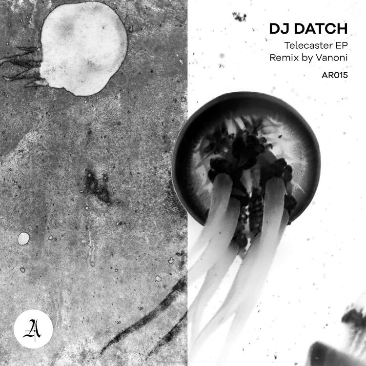 Dj Datch's avatar image