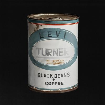 Levi Turner's cover