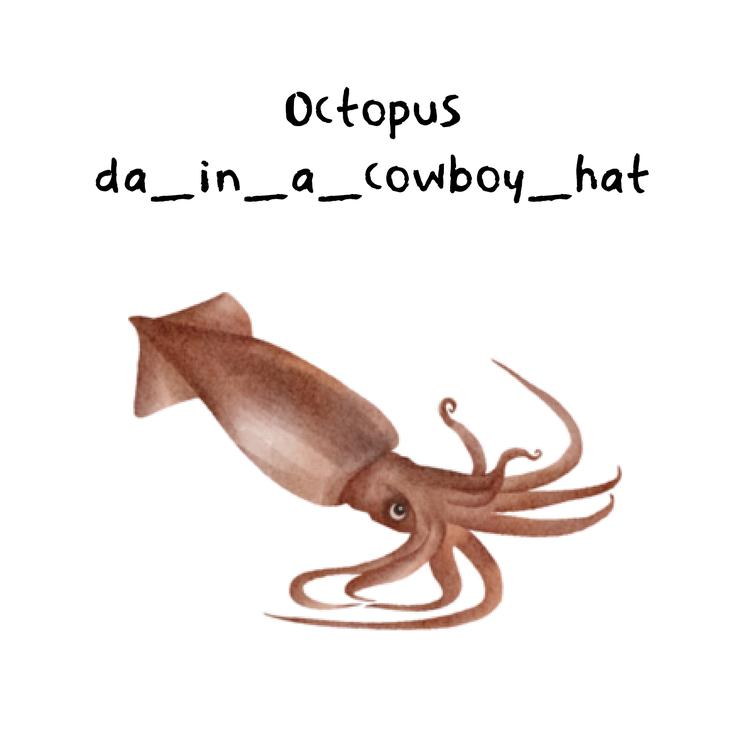 da_in_a_cowboy_hat's avatar image